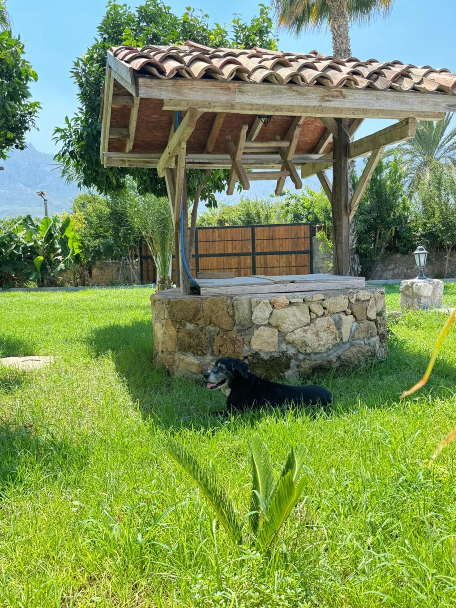 The Horse Farm Hotel Agios Georgios  Eksteriør bilde