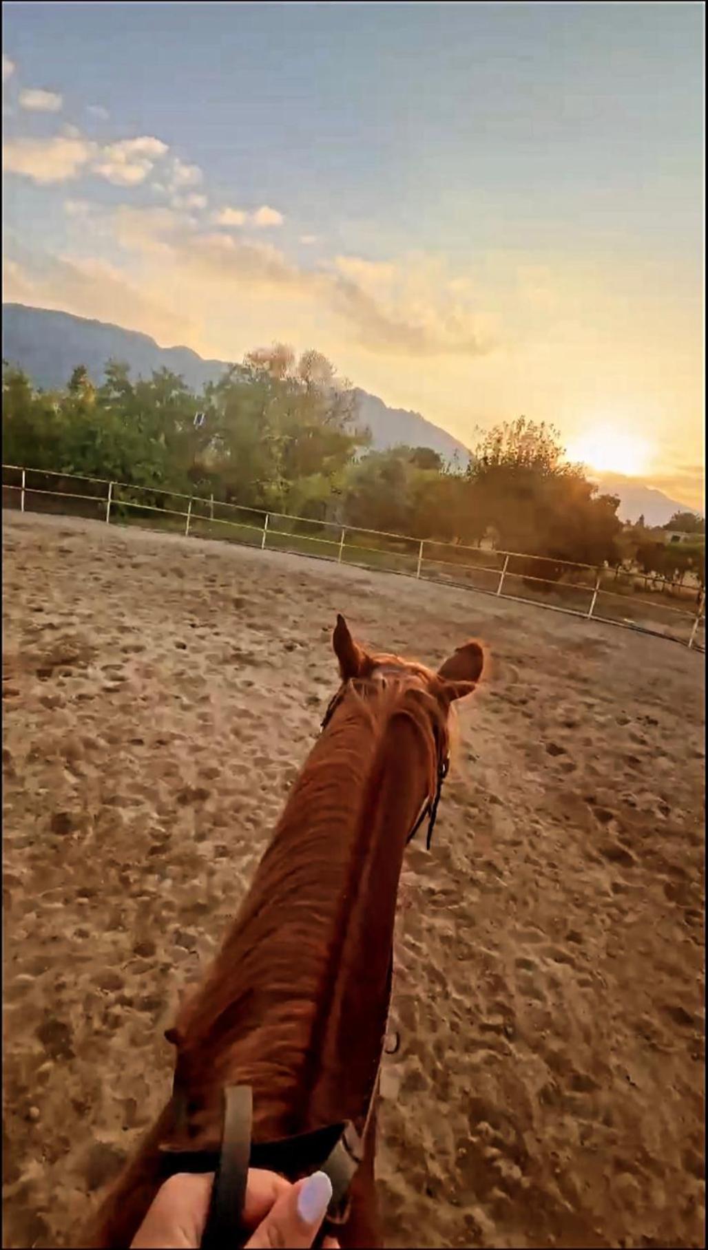 The Horse Farm Hotel Agios Georgios  Eksteriør bilde